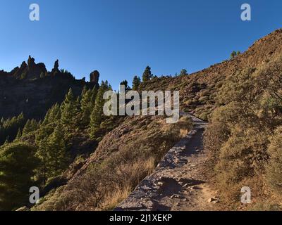 Blick auf Wanderweg in den zentralen Bergen der Insel Gran Canaria, Kanarische Inseln, Spanien am Abend Sonnenlicht mit beliebten Felsen Roque Nublo. Stockfoto