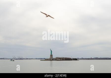 Möwe fliegt vor der Freiheitsstatue, Blick von der Staten Island Fähre, New York City, während des Wintertages mit bewölktem, horizontalem Blick Stockfoto