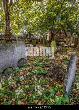 Grabsteine in Bunhill Fields Begräbnisplatz und Garten. City Road. London. Stockfoto