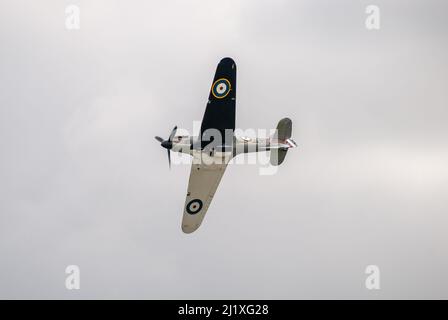 DUXFORD, CAMBRIDGESHIRE, Großbritannien - 13. JULI 2014: WW2 der Hawker-Sturmflug (RAF) führt eine Hundeschlacht-Ausstellung durch und fliegt schnell am Flugplatz von Duxford vorbei. Stockfoto