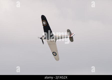 DUXFORD, CAMBRIDGESHIRE, Großbritannien - 13. JULI 2014: WW2 der Hawker-Sturmflug (RAF) führt eine Hundeschlacht-Ausstellung durch und fliegt schnell am Flugplatz von Duxford vorbei. Stockfoto