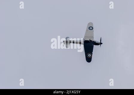 DUXFORD, CAMBRIDGESHIRE, Großbritannien - 13. JULI 2014: WW2 der Hawker-Sturmflug (RAF) führt eine Hundeschlacht-Ausstellung durch und fliegt schnell am Flugplatz von Duxford vorbei. Stockfoto