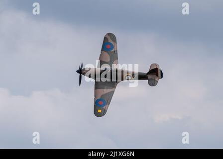 DUXFORD, CAMBRIDGESHIRE, Großbritannien - 13. JULI 2014: WW2 der Hawker-Sturmflug (RAF) führt eine Hundeschlacht-Ausstellung durch und fliegt schnell am Flugplatz von Duxford vorbei. Stockfoto