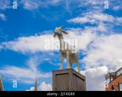 I Goat Skulptur mit dem Turm der Christ Church Spitalfields in der Ferne. London. Stockfoto