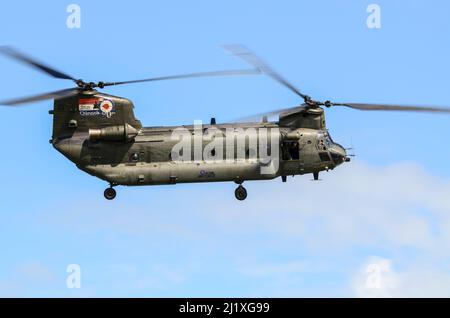 RAF, Royal Air Force Boeing Chinook HC2 Tandemrotor-Hubschrauber ZA714, mit speziellen 30.-jährigen Kunstwerken. Feier des Dienstes seit 1980 Stockfoto