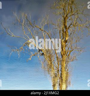 Die abstrakte Fotografie der britischen Wasserstraße zeigt reflektierte Muster, Textur, Form und Bewegung, mit einer Farbpalette in hellen Spiegelformen Stockfoto