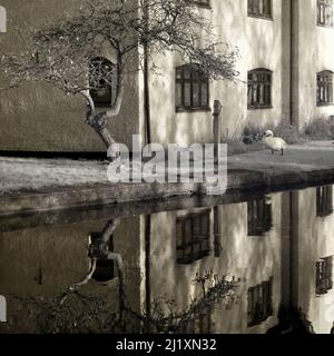 Schwarz-Weiß-Fotografie des Kanals der British Waterways, zeigt ein Infrarotbild mit Sepia-Farben und Lichtformen, die sich auf der Oberfläche der Wasserbrine spiegeln Stockfoto