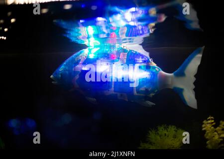 Mechanischer Fisch Aquabot auf dunklem Grund Stockfoto
