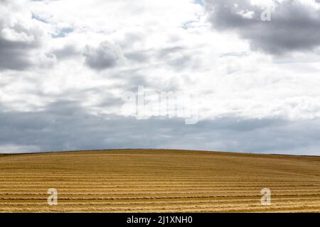 Eine dramatische Wolkenlandschaft über einem geernteten Feld auf dem Land in Großbritannien mit Linien, die in den Hang bis zum Horizont von den Erntemaschinen geätzt wurden. Stockfoto
