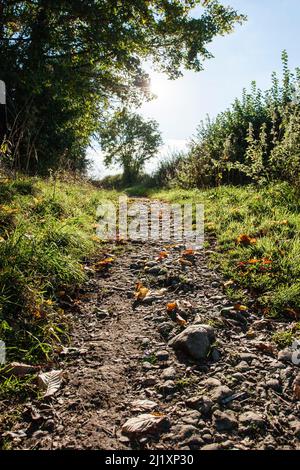 Ein felsiger Landweg mit einigen gefallenen Herbstblättern Stockfoto