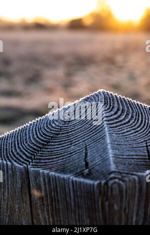 Ein Holzpfosten in einem mit zarten Frostkristallen bedeckten Landfeld. Stockfoto