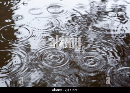 Abstrakte Aptterns aus Wellen und Blasen, die durch Regen auf eine große Pfütze entstehen. Stockfoto