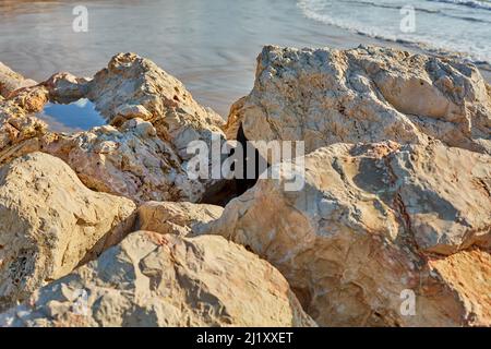 Eine schwarze Katze jagt unter den Steinen am Meer nach Krabben. Stockfoto