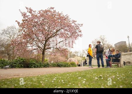 Menschen im St James's Park in London. Bilddatum: Montag, 28. März 2022. Stockfoto