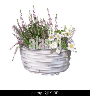 Aquarell Feder Illustration. Helle Blumen in einem Korb. Realistische Darstellung Stockfoto