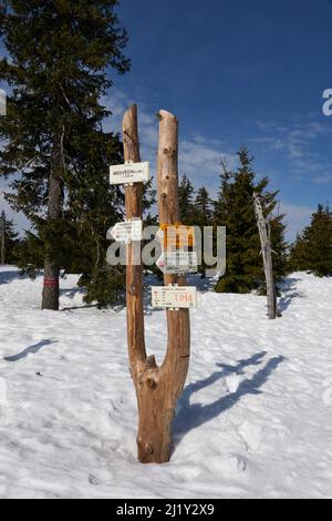 Spidleruv Mlyn, Tschechische Republik - 19. März 2022 - Medvedin. Der höchste Gipfel im Skigebiet Spindleruv Mlyn am sonnigen Winternachmittag Stockfoto