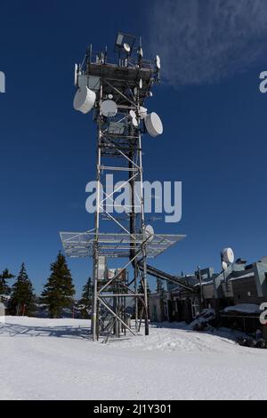 Spidleruv Mlyn, Tschechische Republik - 19. März 2022 - Medvedin. Der höchste Gipfel im Skigebiet Spindleruv Mlyn am sonnigen Winternachmittag Stockfoto