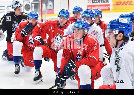 Pilsen, Tschechische Republik. 28. März 2022. Die Ausbildung der tschechischen Eishockeynationalmannschaft in Pilsner, Tschechische Republik, 28. März 2022. Kredit: Miroslav Chaloupka/CTK Foto/Alamy Live Nachrichten Stockfoto