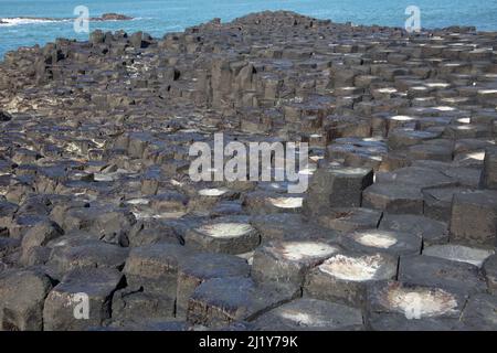 Giant's Causeway ein Gebiet mit etwa ineinanderschränken Basaltsäulen, Grafschaft Antrim an der Nordküste von Nordirland Stockfoto