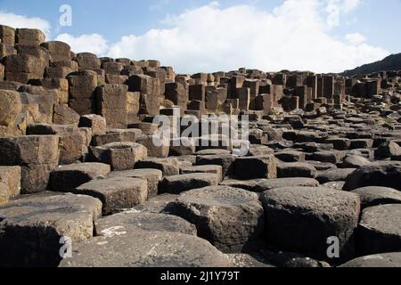 Giant's Causeway ein Gebiet mit etwa ineinanderschränken Basaltsäulen, Grafschaft Antrim an der Nordküste von Nordirland Stockfoto