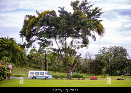 Ein Blick auf blau-weißen Bus fahren auf der Straße von Bäumen umgeben in Costa Rica Stockfoto