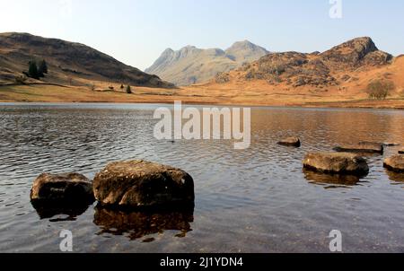 Die Langdale Pikes von Blea Tarn, Lake District aus gesehen Stockfoto