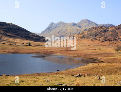 Die Langdale Pikes von Blea Tarn, Lake District aus gesehen Stockfoto