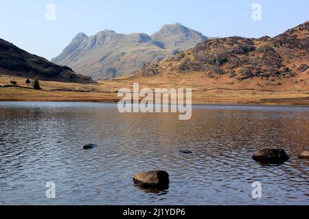 Die Langdale Pikes von Blea Tarn, Lake District aus gesehen Stockfoto