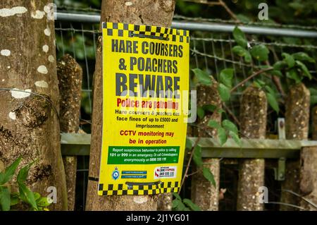 ELSTREE, LONDON, ENGLAND- 17. Oktober 2021: Poster „Hasen-Kuriere und Wilderer hüten sich“ auf dem Land in Elstree, England Stockfoto