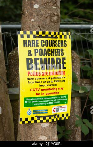 ELSTREE, LONDON, ENGLAND- 17. Oktober 2021: Poster „Hasen-Kuriere und Wilderer hüten sich“ auf dem Land in Elstree, England Stockfoto