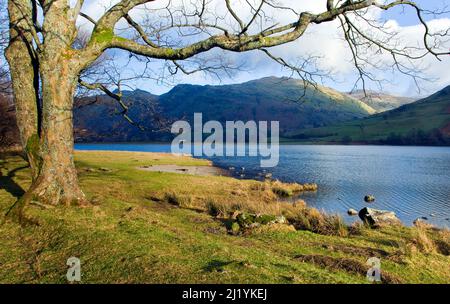 Brothers Water, Hartsop, January, Patterdale Area, Lake District National Park, North East Lake District Cumbria England Großbritannien Europa Stockfoto