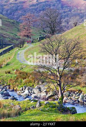 Fußweg von Haywater nach Hartsop Village, Januar, Patterdale Area, Lake District National Park, North East Lake District Cumbria Stockfoto