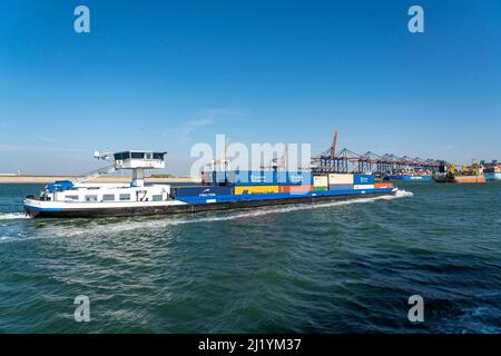 EuroOmax Container Terminal, Containerfrachter, im Seehafen Rotterdam, Niederlande, Yangtzehaven, Barge, Tiefseehafen Maasvlakte 2, auf einer Stockfoto