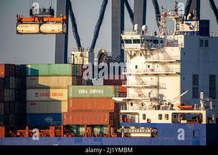 EuroOmax Container Terminal, Containerfrachter, im Seehafen Rotterdam, Niederlande, Tiefseehafen Maasvlakte 2, auf einer künstlichen Landfläche in f Stockfoto