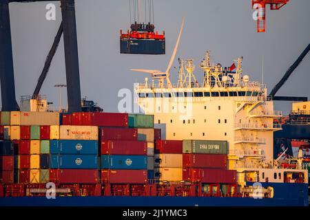 EuroOmax Container Terminal, Containerfrachter, im Seehafen Rotterdam, Niederlande, Tiefseehafen Maasvlakte 2, auf einer künstlichen Landfläche in f Stockfoto