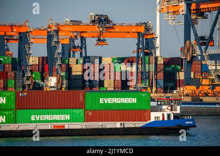 EuroOmax Container Terminal, Containerfrachter, im Seehafen Rotterdam, Niederlande, Tiefseehafen Maasvlakte 2, auf einem künstlichen Landgebiet vor der Stockfoto