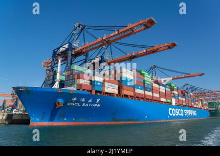 Containerschiff von COSCO Shipping, CSCL SATURN, be- und entladen, Euromax Container Terminal, Containerfrachter, im Seehafen von Rotterdam Stockfoto