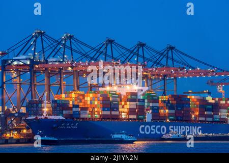 Containerschiff von COSCO Shipping, CSCL SATURN, be- und entladen, Euromax Container Terminal, Containerfrachter, im Seehafen von Rotterdam Stockfoto