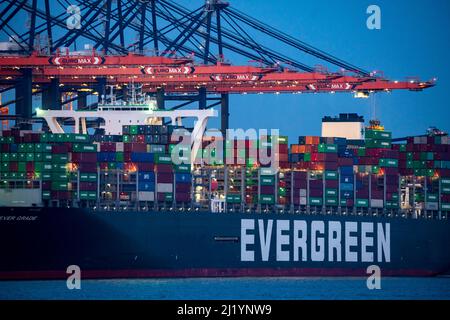 Containerschiff der Reederei Evergreen, Ever Grade, be- und entladen, Euromax Container Terminal, Containerfrachter, im Seehafen o Stockfoto