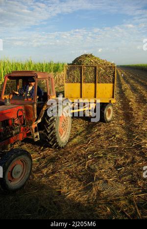 Chambas, Kuba, 21. Februar 2010. Verladen von Zuckerrohr in alte russische Lastwagen Stockfoto