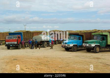 Chambas, Kuba, 21. Februar 2010. Verladen von Zuckerrohr in alte russische Lastwagen Stockfoto