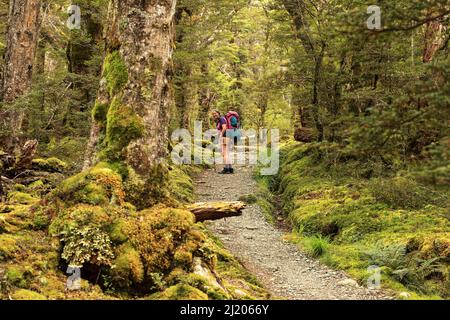 Kepler Track Fiordland Neuseeland Stockfoto