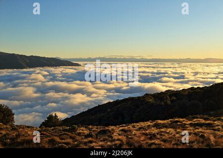 Kepler Track Fiordland Neuseeland Stockfoto