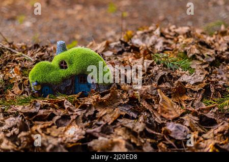 Entzückendes kleines grünes und blaues Haus mit moosem Dach, umgeben von Blättern im Herbst. Stockfoto