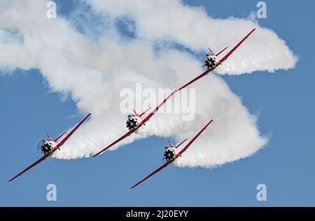 Das AeroShell Aerobatic Team führt am 26. März 2022 auf der Columbus Air Force Base, Misson, 2022 ein Luftmanöver durch. Das AeroShell Aerobatic Team fliegt in der T-6A Texan II, einem Flugzeug, das zur Ausbildung von Piloten der US-Luftwaffe verwendet wird. (USA Luftwaffe Foto von Senior Airman Davis Donaldson) Stockfoto