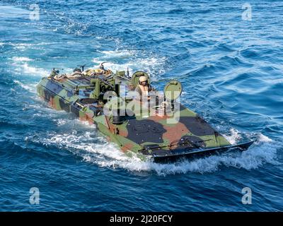 US-Marineinfanteristen, die dem Assault Amphibian Bataillon 3. zugewiesen wurden, 1. Marine Division führen wassergestütztes Training mit dem Amphibious Combat Vehicle (ACV) an Bord des Amphibientransportsdocks USS Anchorage (LPD 23) durch, März 9. Anchorage führt derzeit Routineoperationen in der US 3.-Flotte durch. Stockfoto