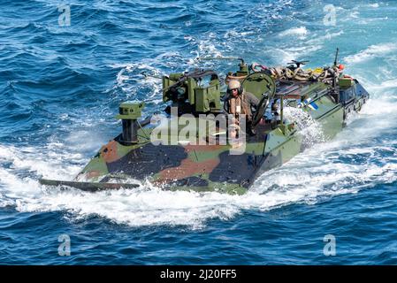 US-Marineinfanteristen, die dem Assault Amphibian Bataillon 3. zugewiesen wurden, 1. Marine Division führen wassergestütztes Training mit dem Amphibious Combat Vehicle (ACV) an Bord des Amphibientransportsdocks USS Anchorage (LPD 23) durch, März 11. Anchorage führt derzeit Routineoperationen in der US 3.-Flotte durch. Stockfoto