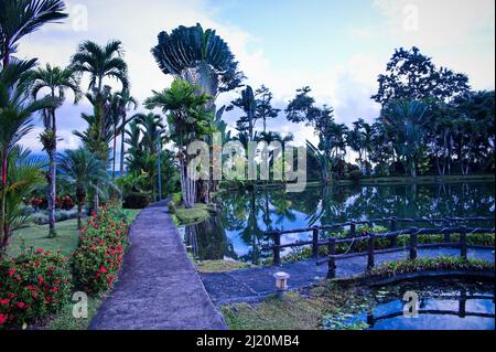 Hotelresort mit wunderschönen tropischen Pflanzen Stockfoto