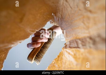 Eine Hand legt eine Kleiderbürste in einen Papierbeutel. Die Hand eines reifen Mannes hält den Pinsel mit einem Holzgriff über den offenen braunen Beutel. Schuss von unten U Stockfoto