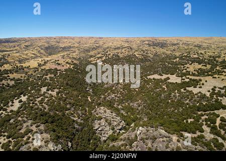 Remnant kanuka Forest and Dunstan Mountains, near Bendigo Ghost Town, Central Otago, South Island, New Zealand - Drohnenantenne Stockfoto